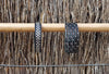 DUBROVNIK G.O.T RANGE- Adriatic Pearls Bracelet- Black with Swarovski elements